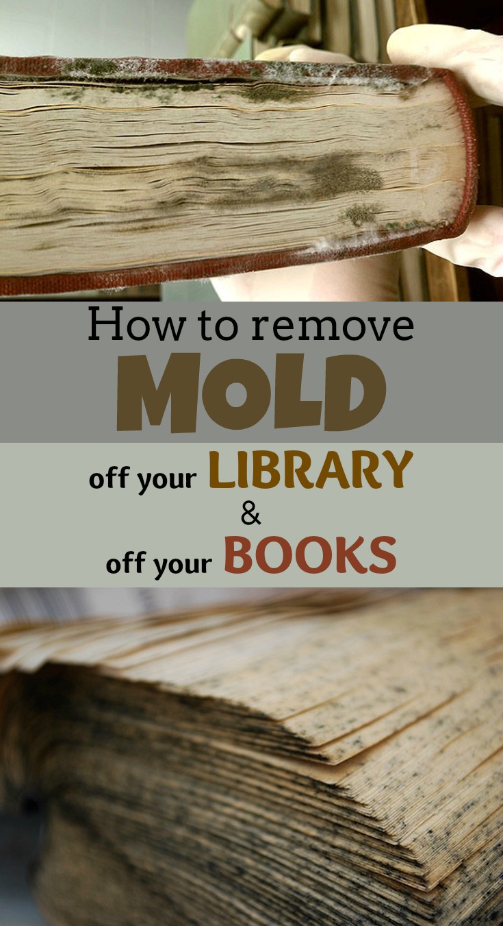 How to remove mold off your library and off your books