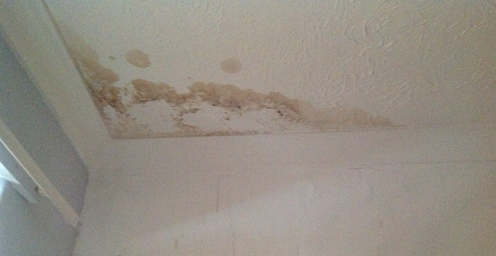 How to get rid of mold and damp stains