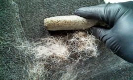 How to remove pet hair out of carpet