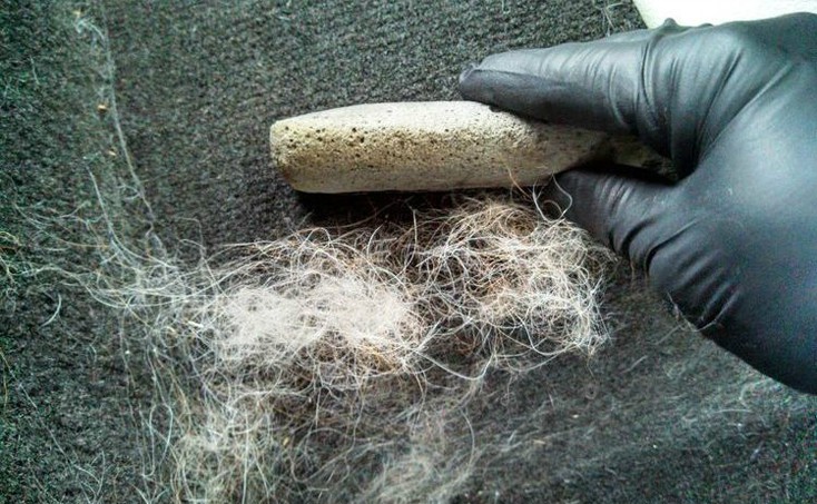 Read more about the article How to remove pet hair out of carpet