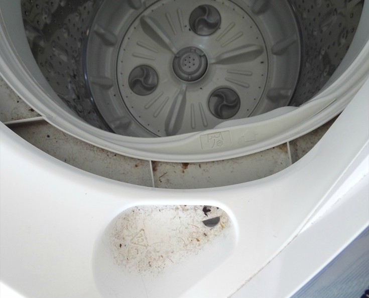 Read more about the article 5 tricks to remove bad odor inside the washing machine