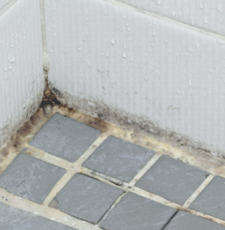 Ingenious Tricks To Get Rid Of Bathroom Mold Forever