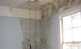 How To Kill & Remove Mold From Walls And Ceilings