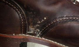Easy & Effective Way To Remove Mold From Leather Boots