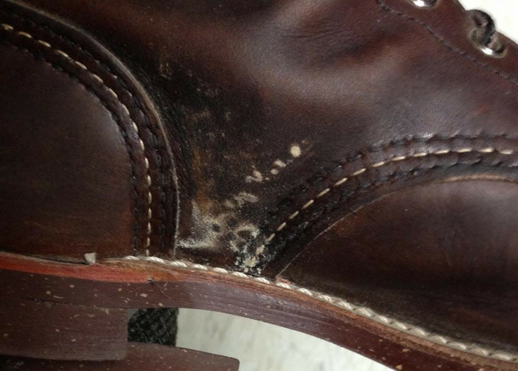 Read more about the article Easy & Effective Way To Remove Mold From Leather Boots