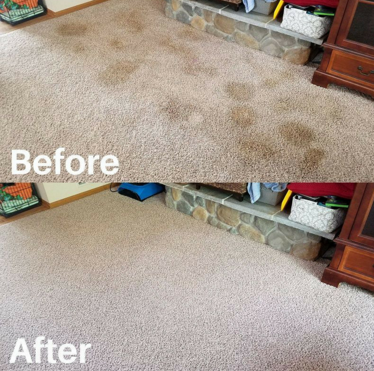 Effective Method To Remove Nasty Stains From Your Rug