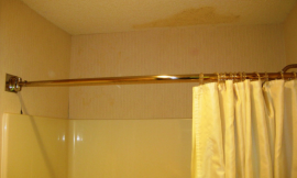 The Best Natural Method to Get Rid of Mold in Bathroom Ceiling