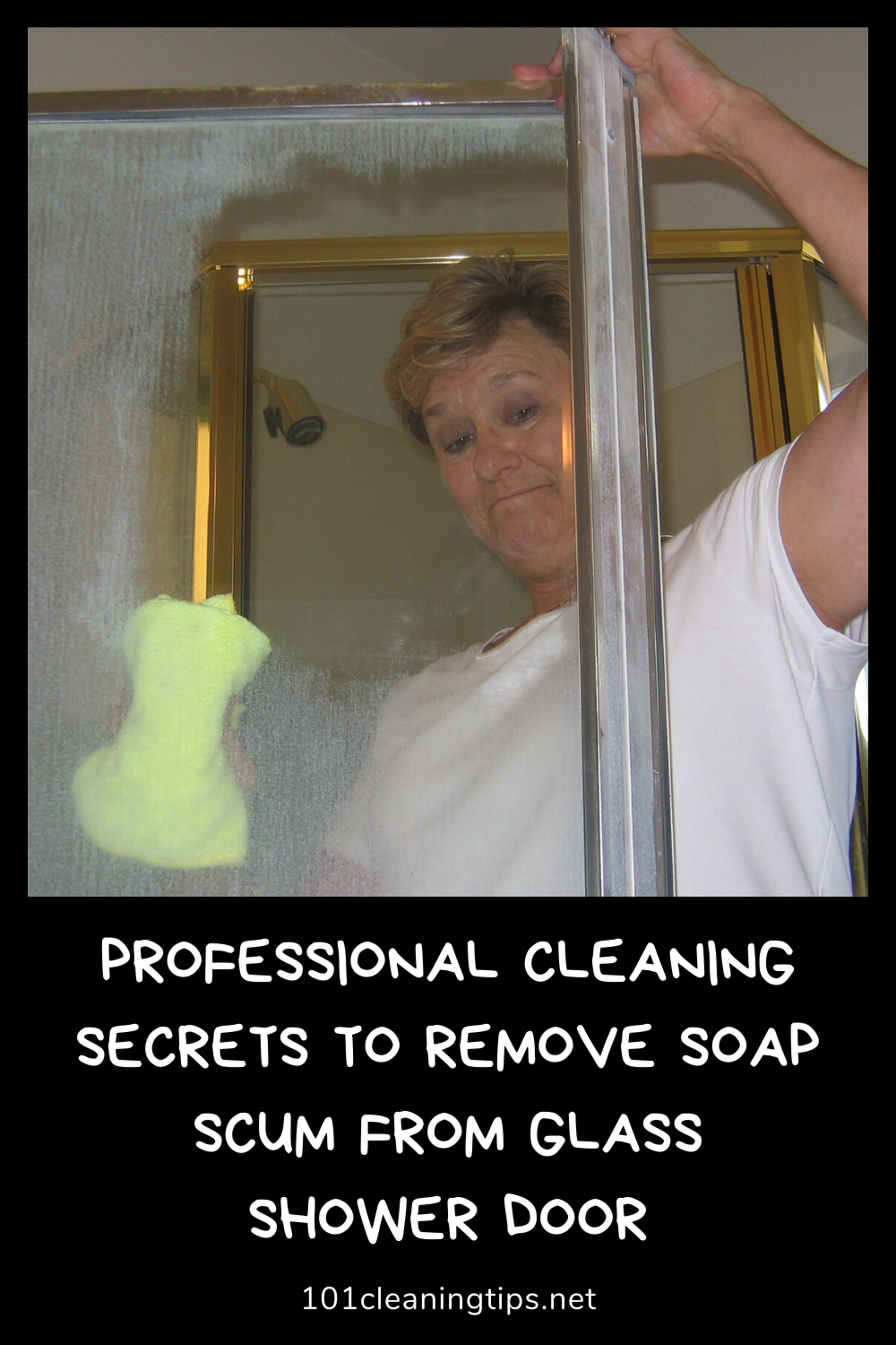 Professional Cleaning Secre