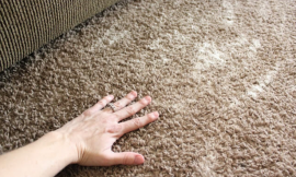 Best Homemade Cleaner To Remove Carpet Odor