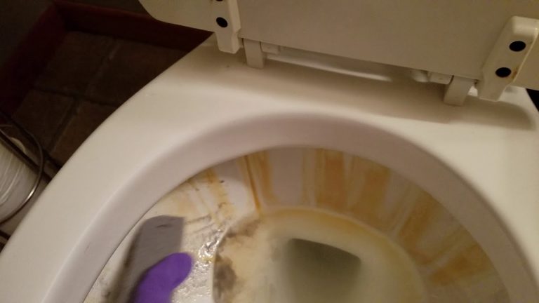 No Chemicals Needed: Quick Way To Get Lime Scale Build Up Out Of Toilet Rim