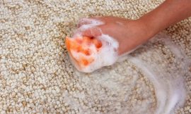 Less Gross Method To Remove Poop Stains Out Of The Carpet