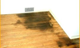 Homemade Enzyme Pee Cleaner For Hardwood Flooring And Carpets