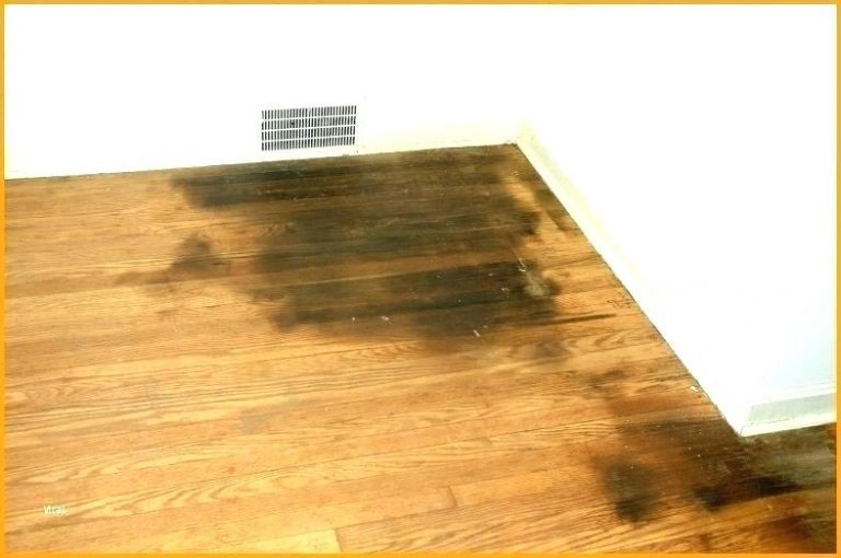 Read more about the article Homemade Enzyme Pee Cleaner For Hardwood Flooring And Carpets