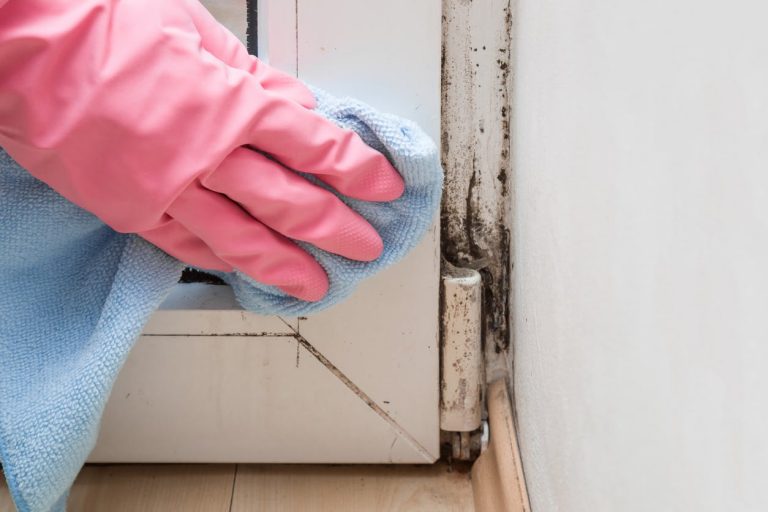 Mold Busters: How To Kill Black Mold On Window Casings