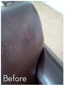 Read more about the article How To Fix Cat Scratches On Leather And Vinyl Furniture
