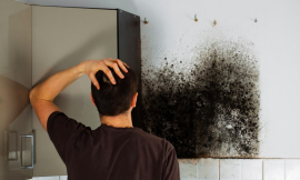 Mold Myths! Is Vinegar And Bleach Good To Kill Black Mold On Dry Walls?