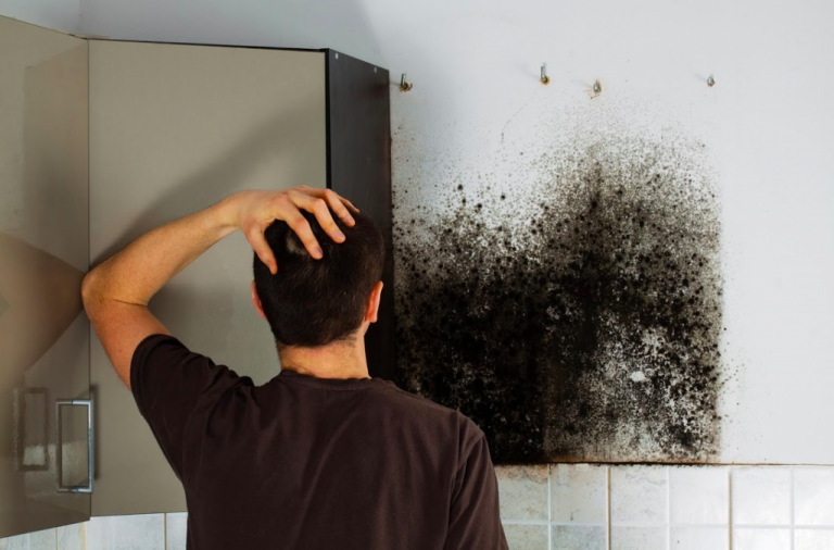 Read more about the article Mold Myths! Is Vinegar And Bleach Good To Kill Black Mold On Dry Walls?