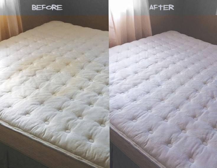 Read more about the article How I Managed To Remove Poop Stains Out Of A Mattress