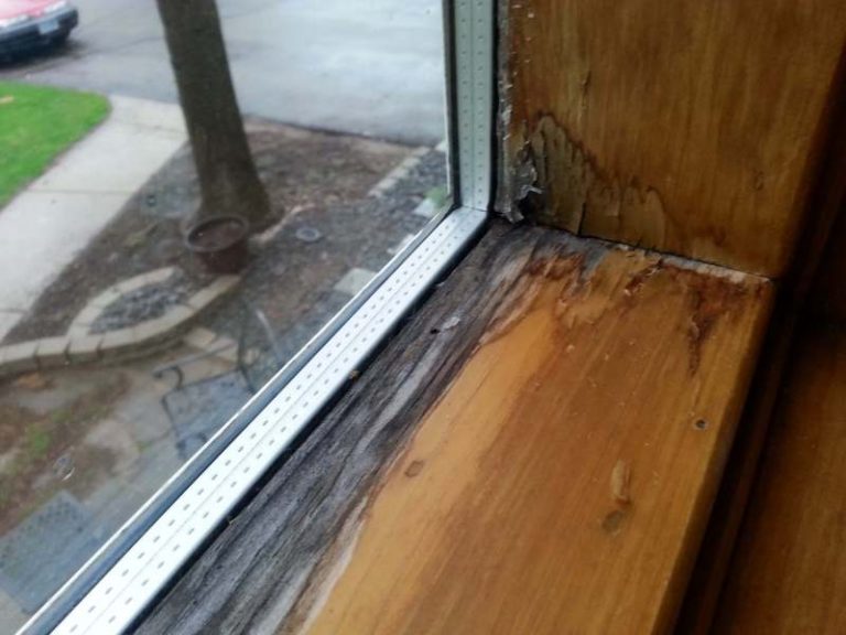 Read more about the article How I Managed To Kill Black Mildew On Wooden Windowsills