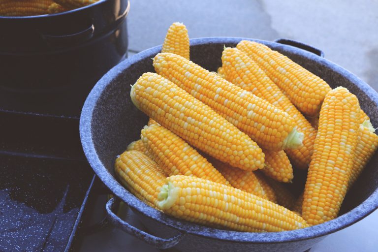 Read more about the article How To Freeze Summer’s Sweet Corn For Winter